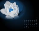 7月の壁紙2