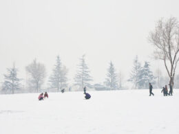 20130122101504231