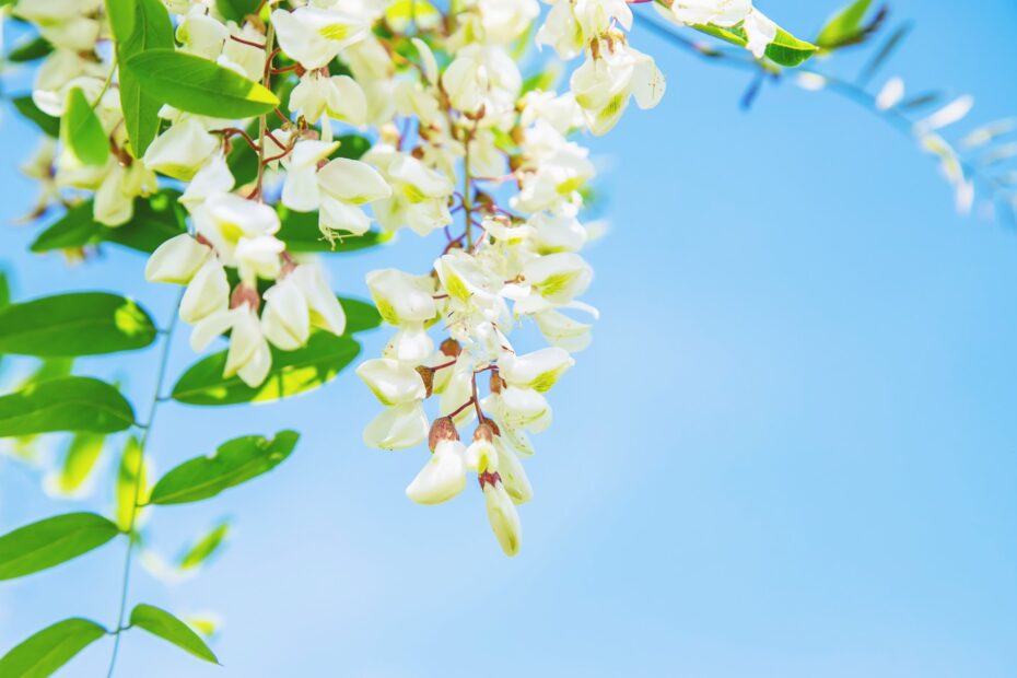lixia_20250504